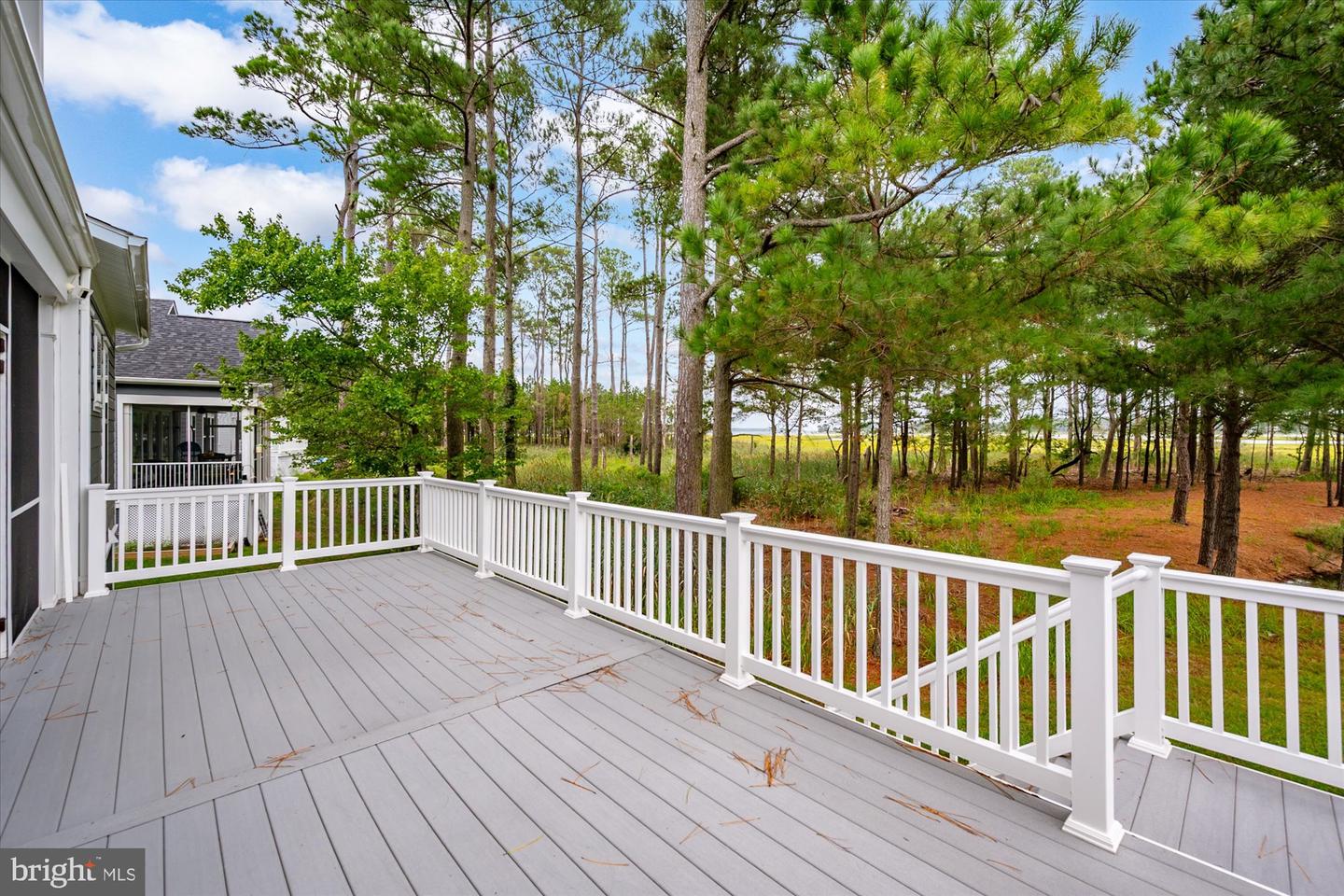 12121 Pimlico Ln Property Photo 65