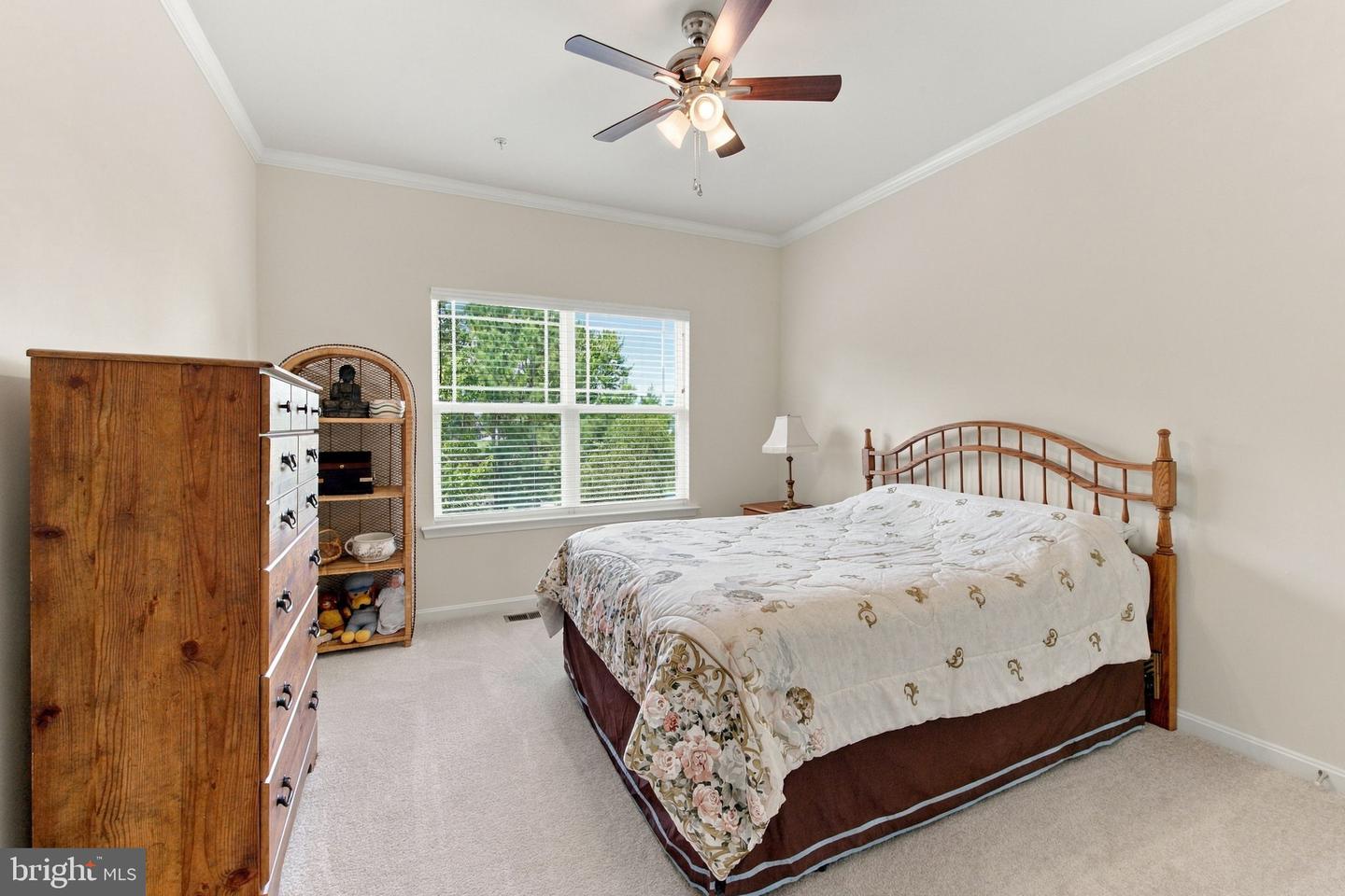 12144 Pimlico Ln Property Photo 44