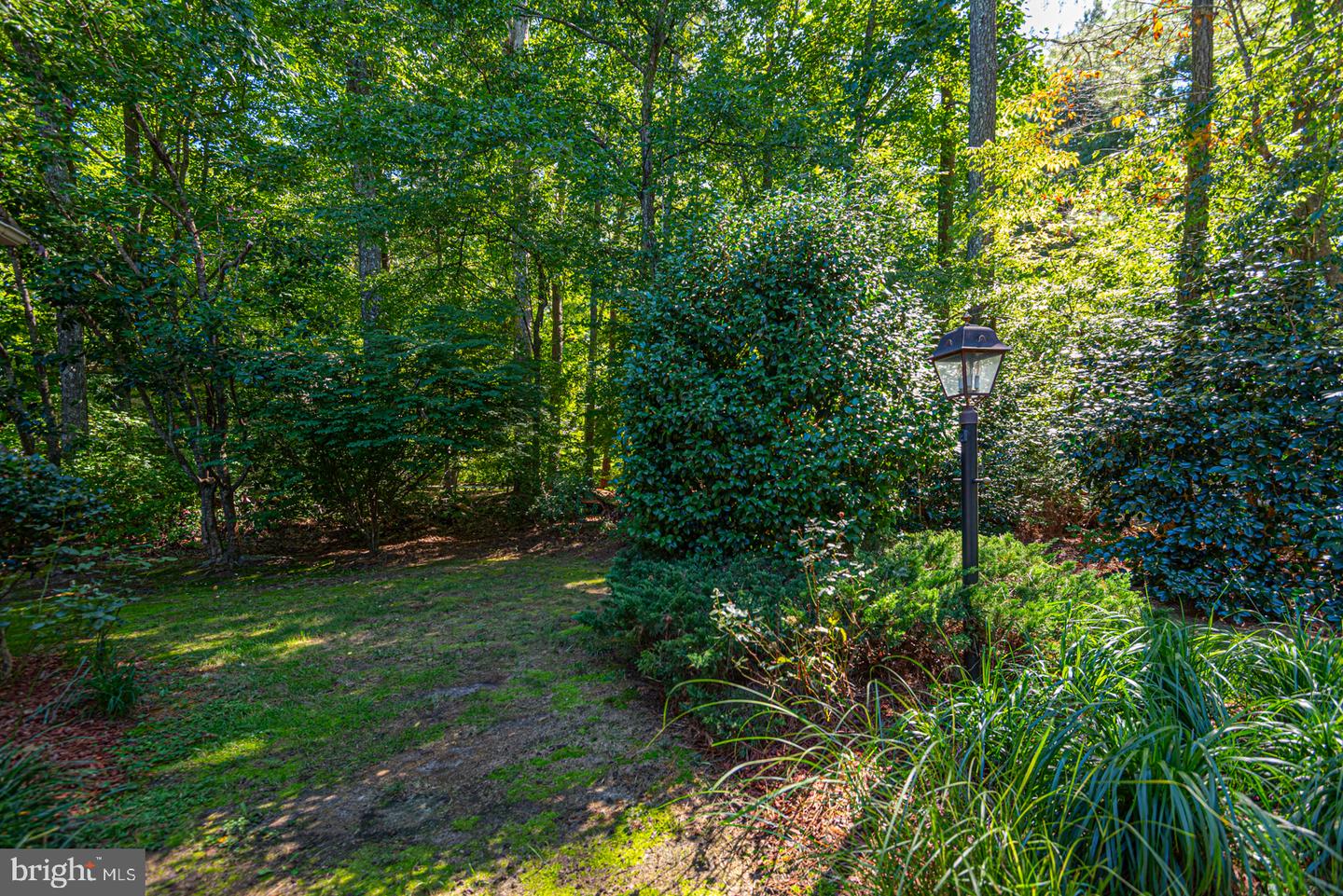 105 Tail Of The Fox Dr Property Photo 45