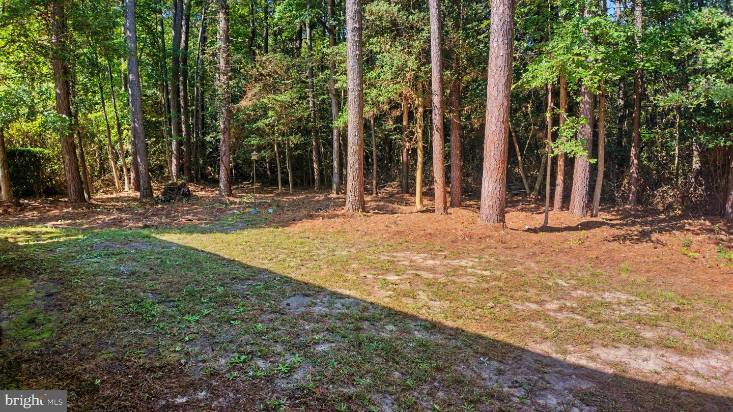2610 Pine Ridge Ct Property Photo 37