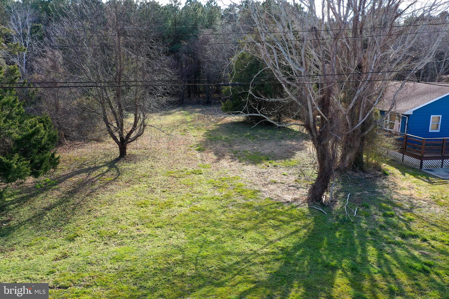 12524 SALISBURY RD Property Photo 1