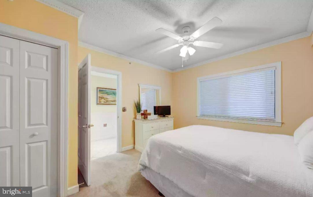 1209 Atlantic Ave #103 Property Photo 28