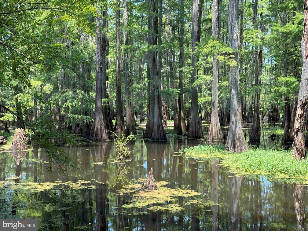 Tick Bite Road & Saw Mill Road (tract: Tick Bite) Property Photo 1