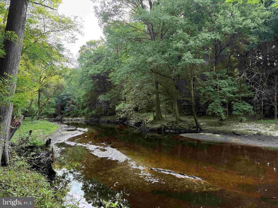 Sarecta Road (tract: Duplin) Property Photo 1