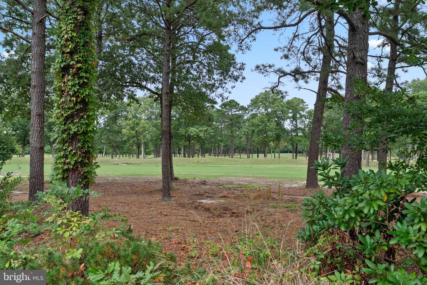 277 Greenbriar Court Property Photo 4