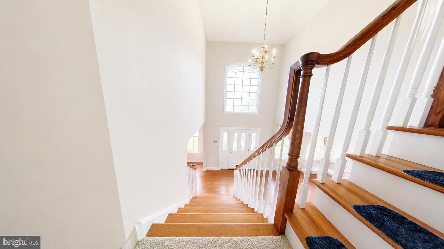 203 Cynwyd Dr Property Photo 72