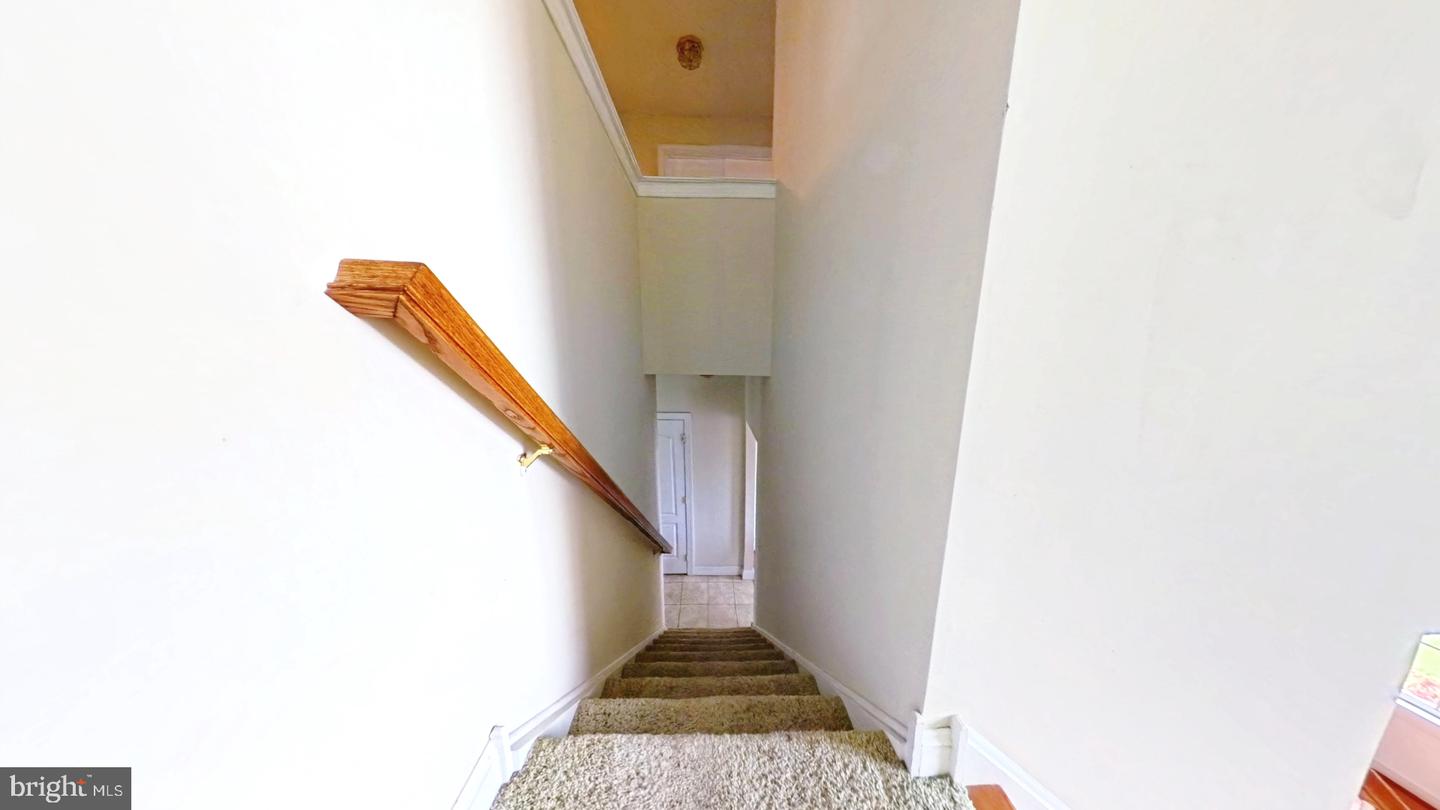 203 Cynwyd Dr Property Photo 73