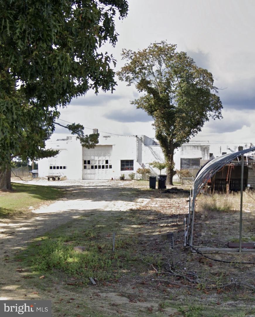 541 Oak Rd Property Photo 4