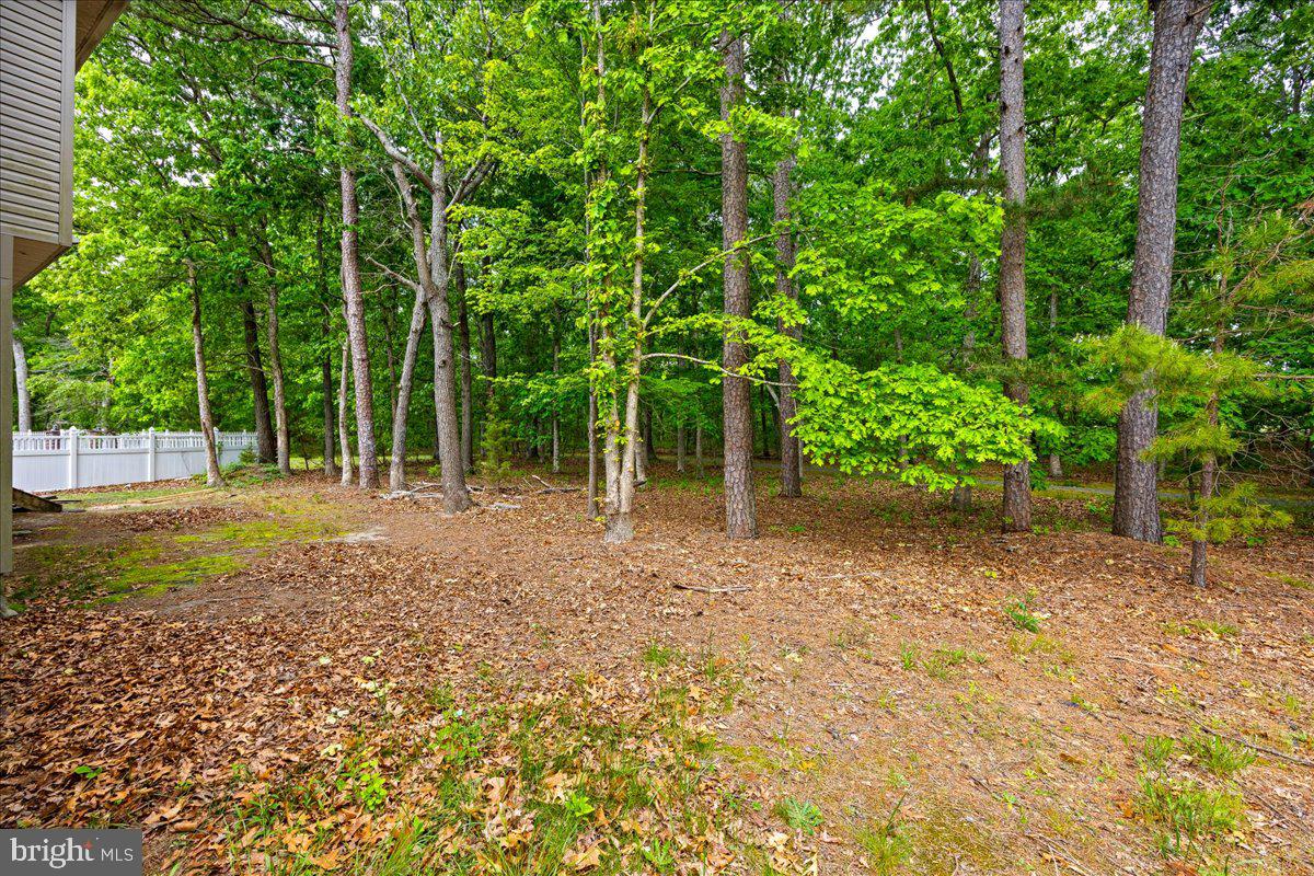 48 Chancellor Park Dr Property Photo 59