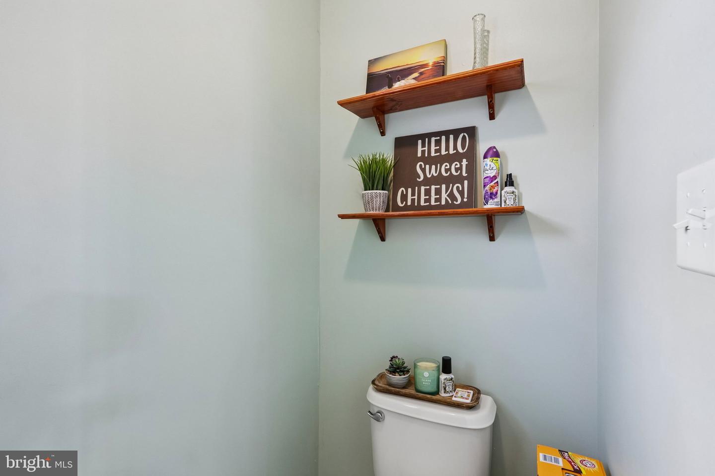 60 Abington Ct Property Photo 28