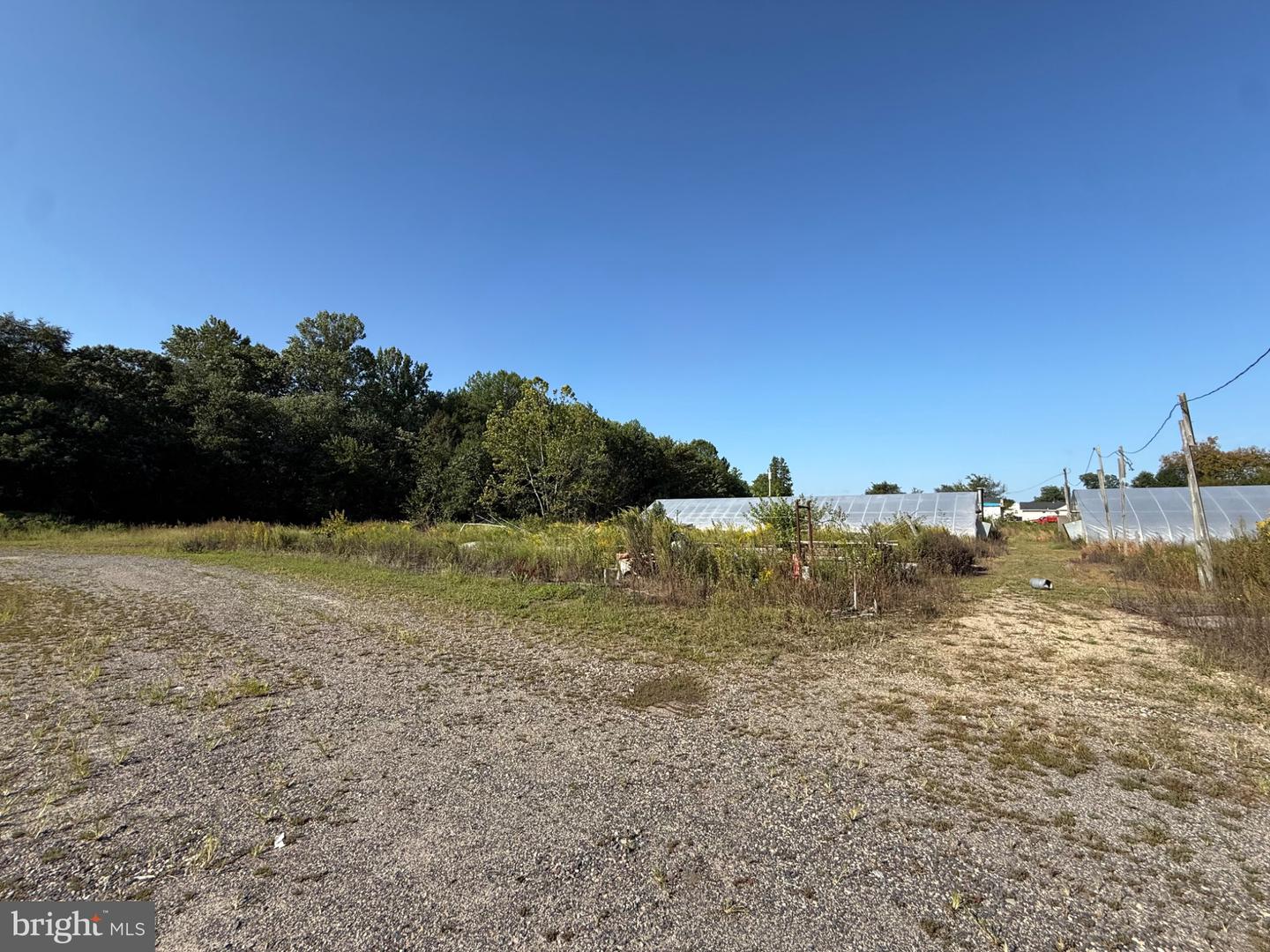 3701 Oak Rd Property Photo 2
