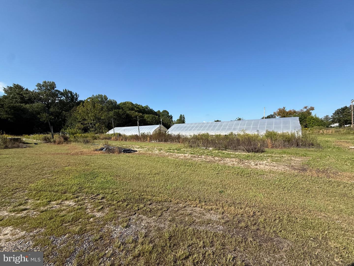 3701 Oak Rd Property Photo 4