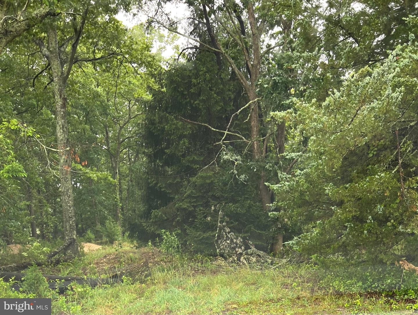 246 Crestview Property Photo 1
