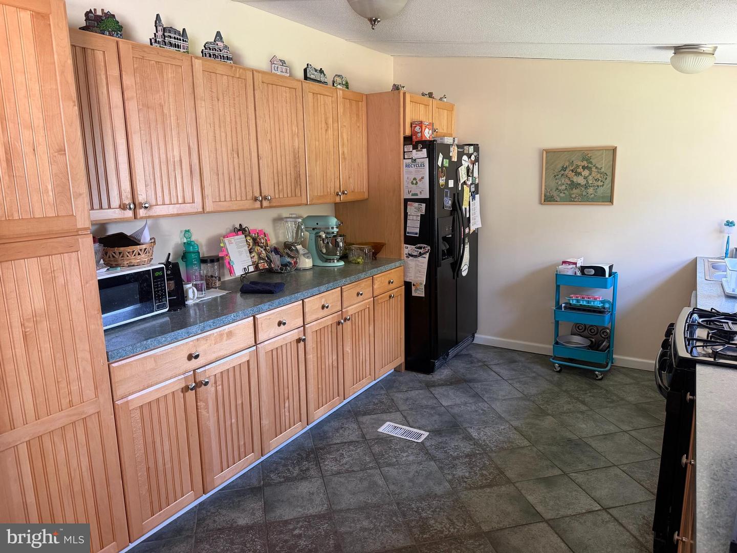 273 Mayflower Dr Property Photo 7