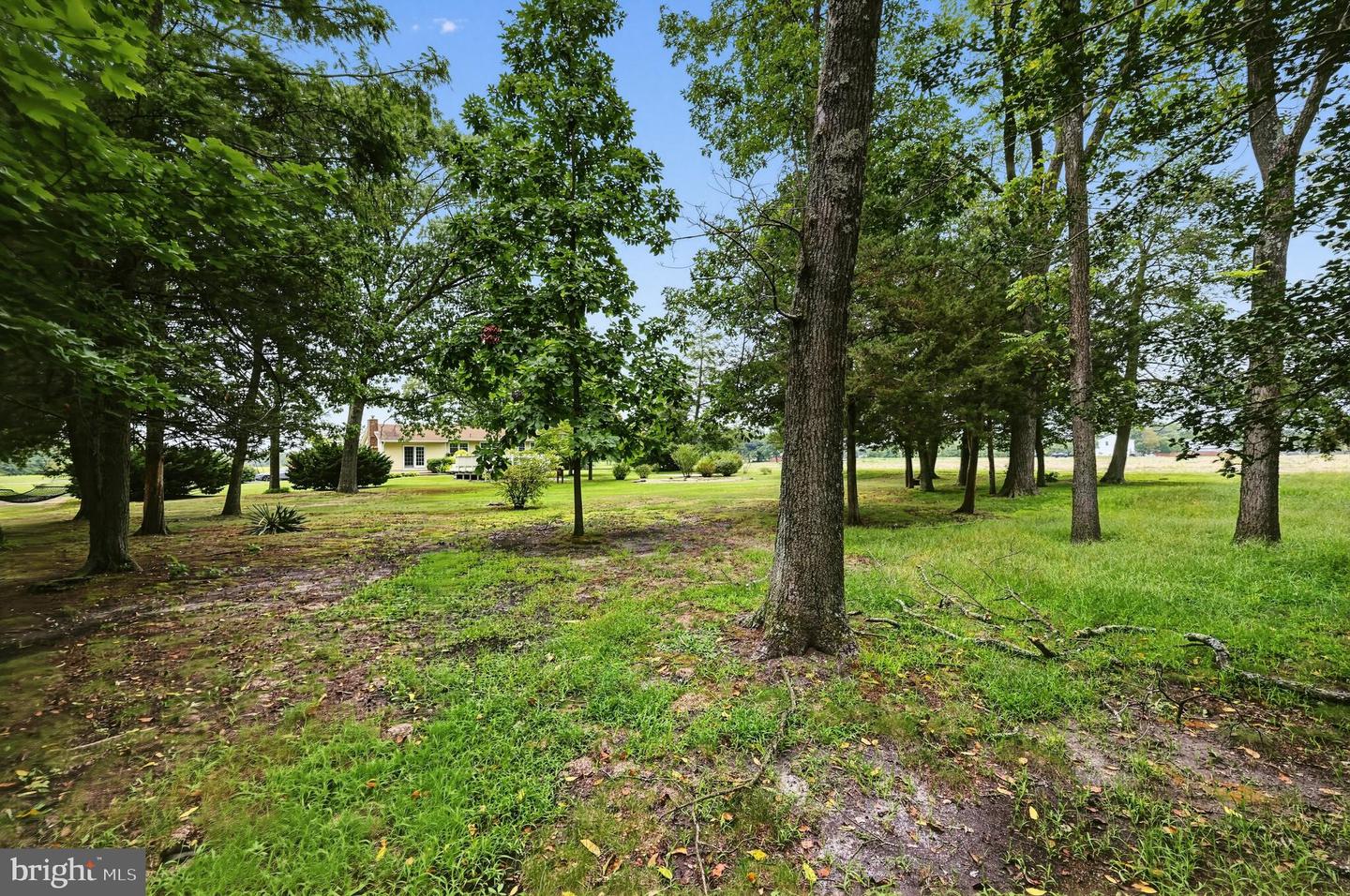 137 Wheat Rd Property Photo 8