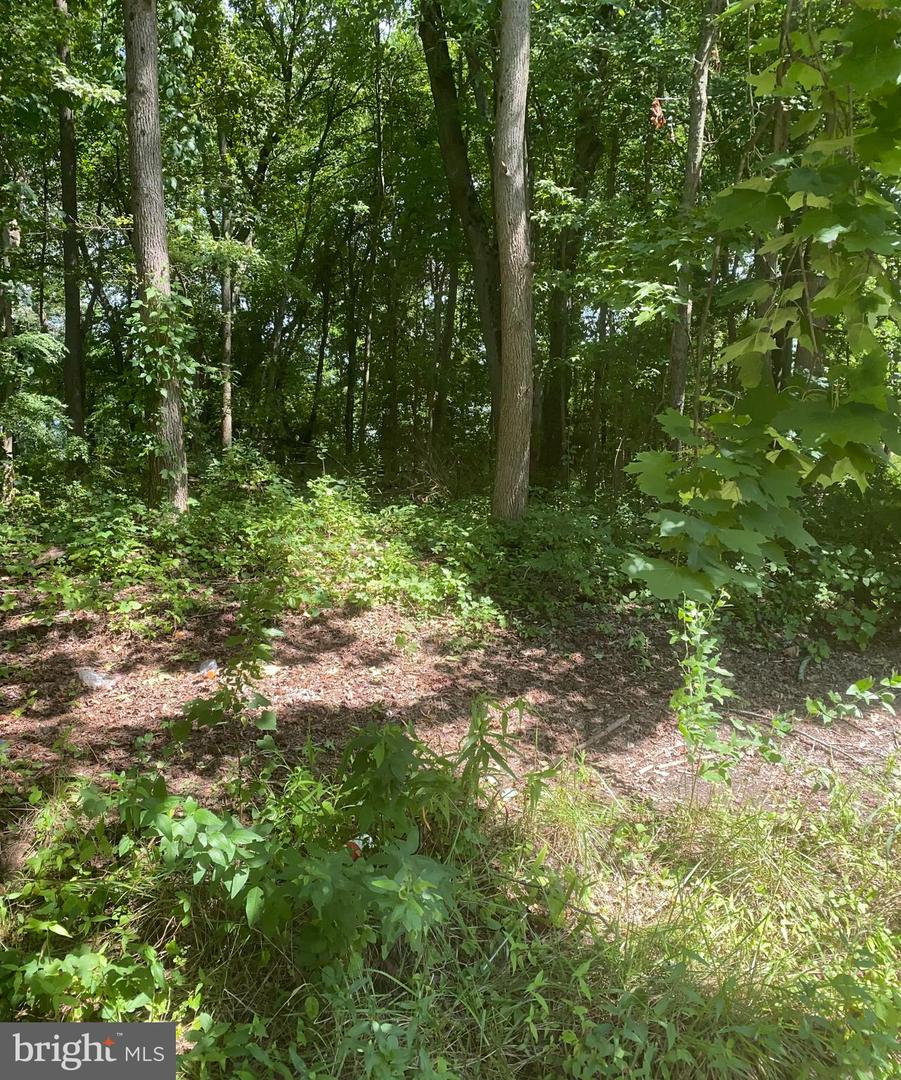 53 FOUNTAIN BLVD Property Photo 1