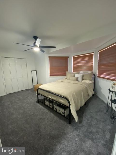 61 Whittaker St Property Photo 53