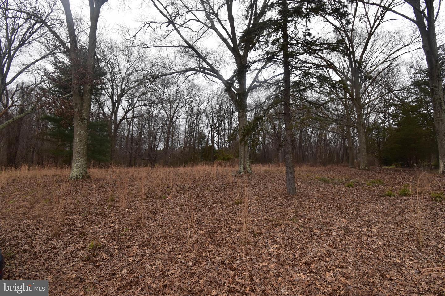 901 Mcelwee Rd Property Photo 1
