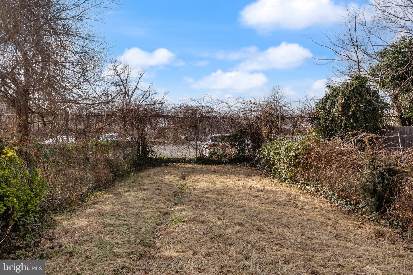 434 Lawrence St Property Photo 6