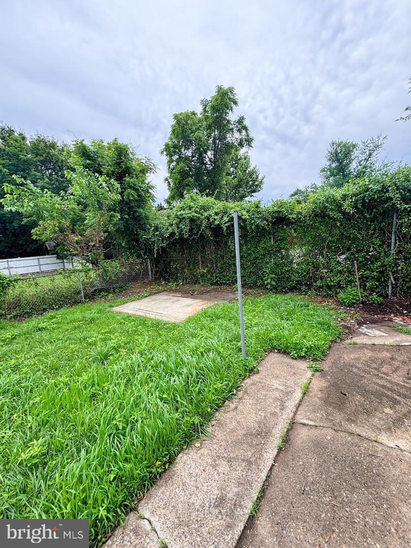 438 Lawrence St Property Photo 17