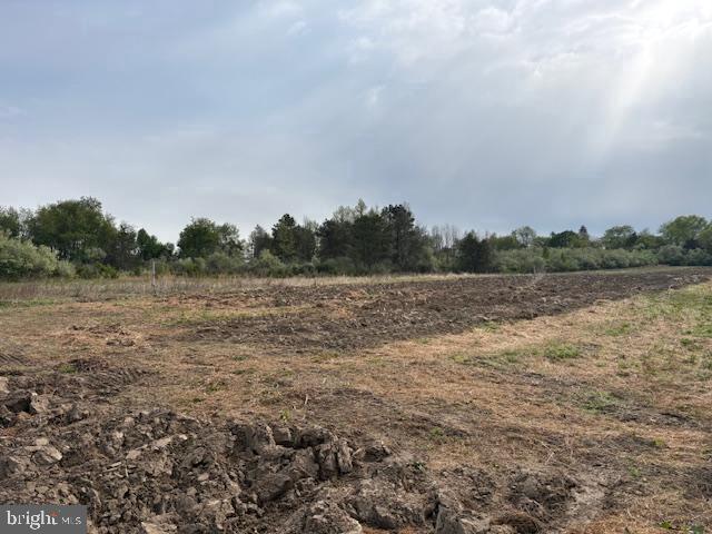 Rt. 206 & Forked Neck Rd Property Photo 1