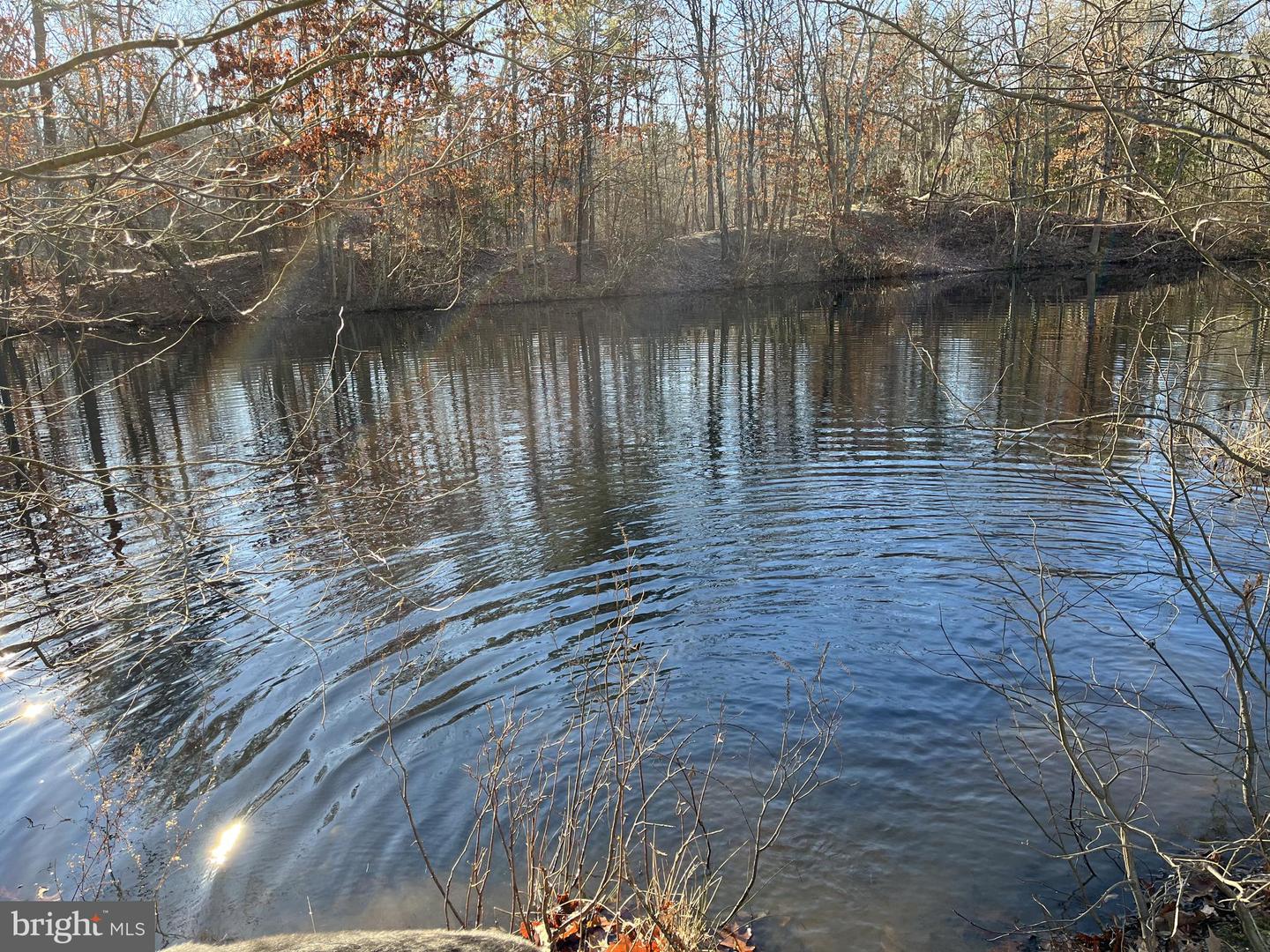 Rt. 206 & Forked Neck Rd Property Photo 2