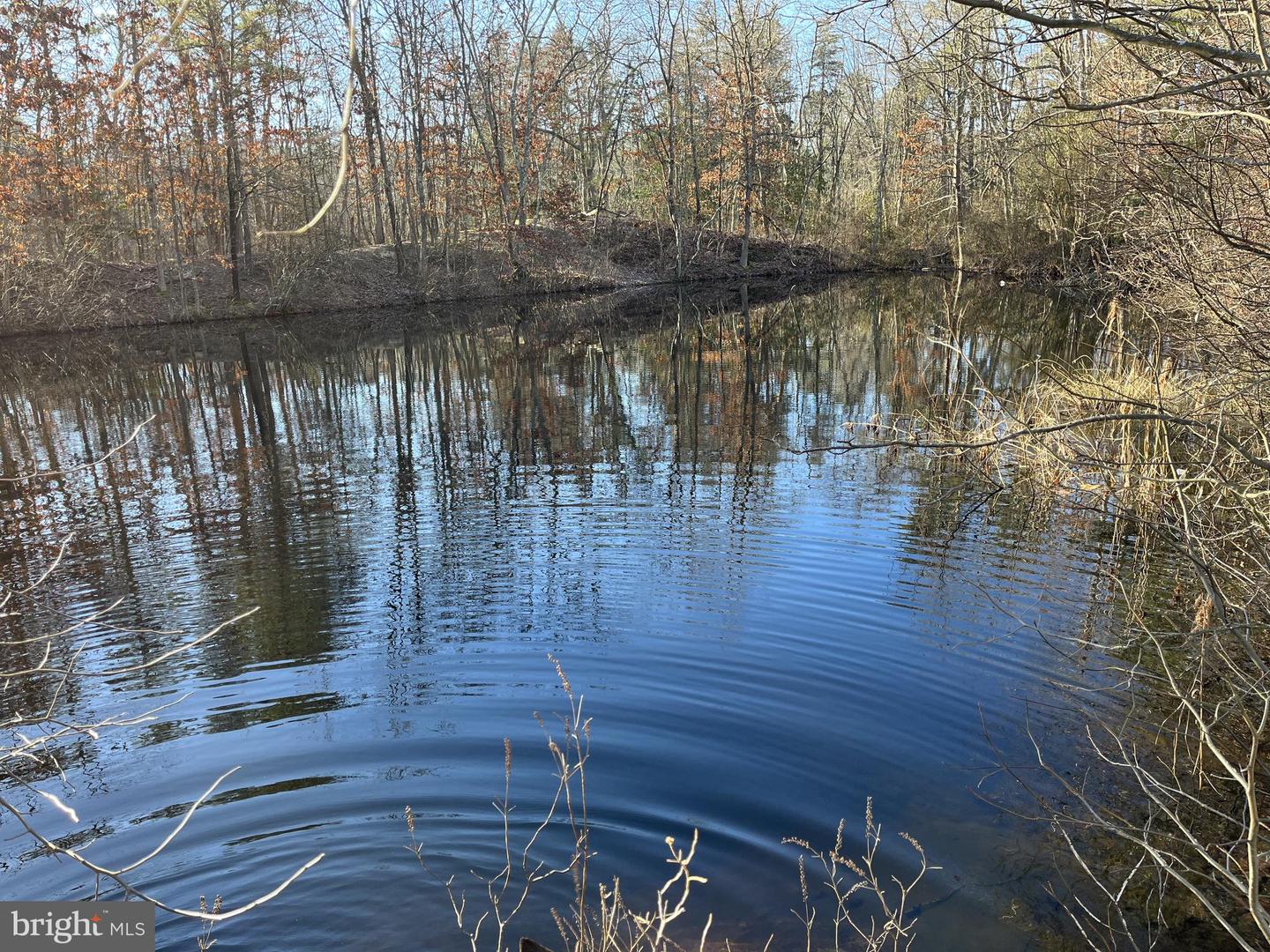 Rt. 206 & Forked Neck Rd Property Photo 3
