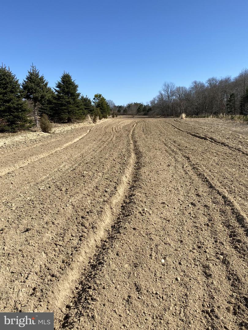 Rt. 206 & Forked Neck Rd Property Photo 4