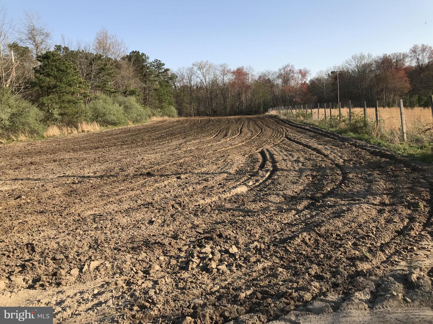 Rt. 206 & Forked Neck Rd Property Photo 5