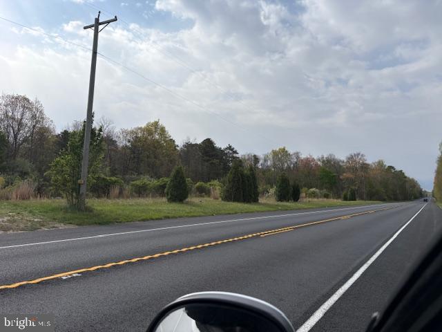 Rt. 206 & Forked Neck Rd Property Photo 6