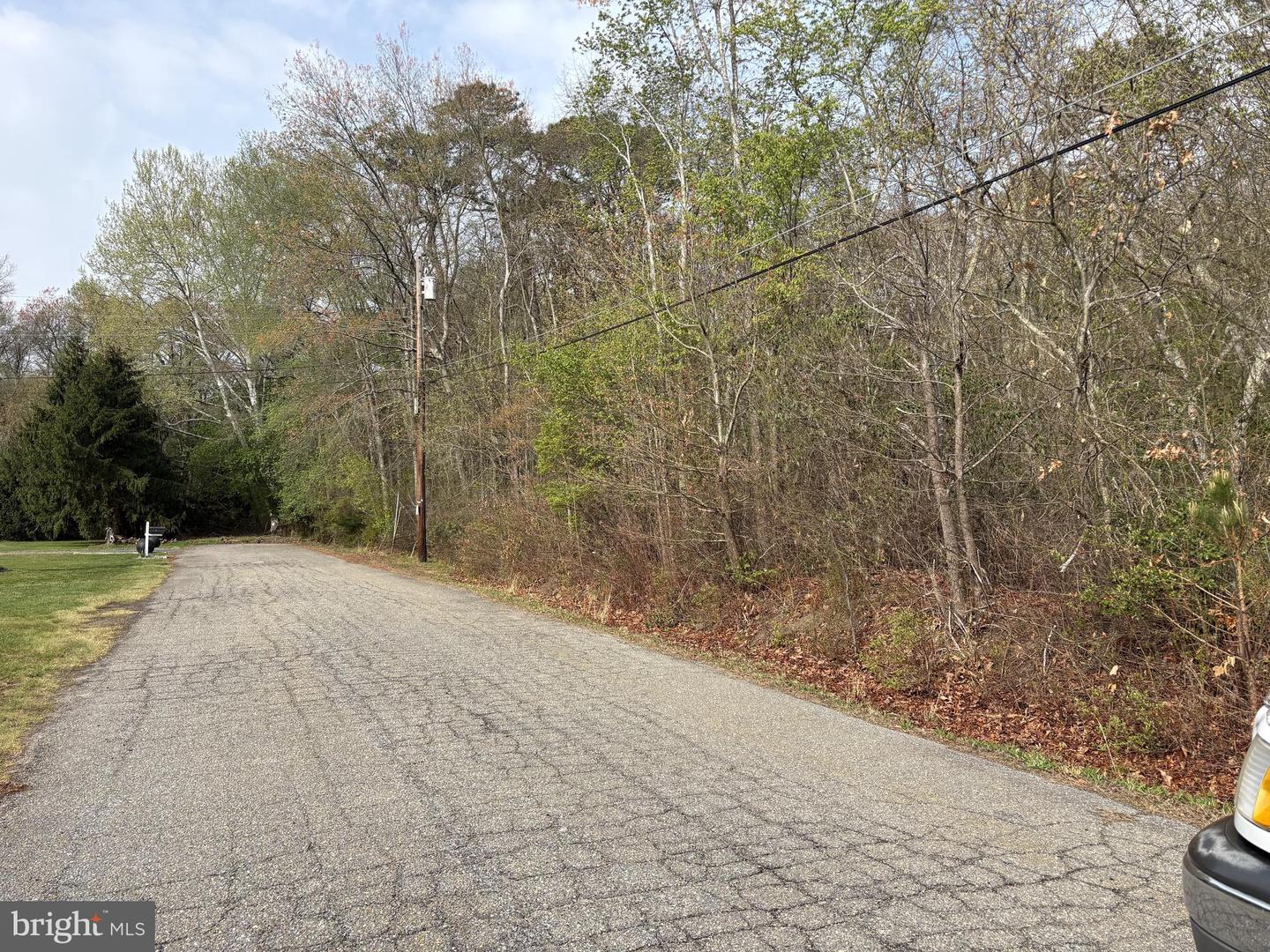 Rt. 206 & Forked Neck Rd Property Photo 8