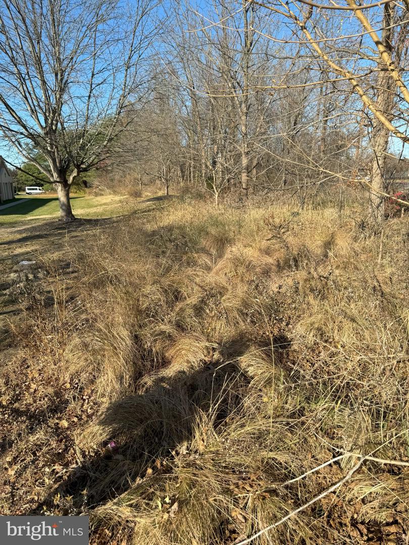 Salem Rd Property Photo 9