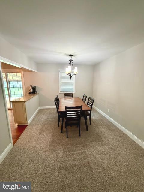202 Oak Ln Property Photo 8
