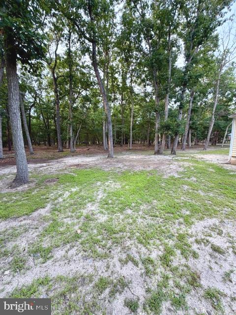 202 Oak Ln Property Photo 50