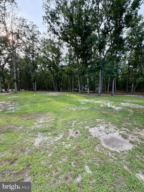 202 Oak Ln Property Photo 51