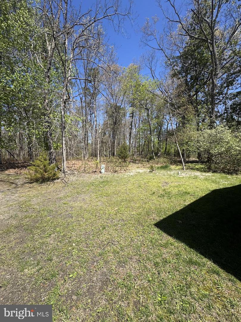 57 Meadowbrook Dr Property Photo 18