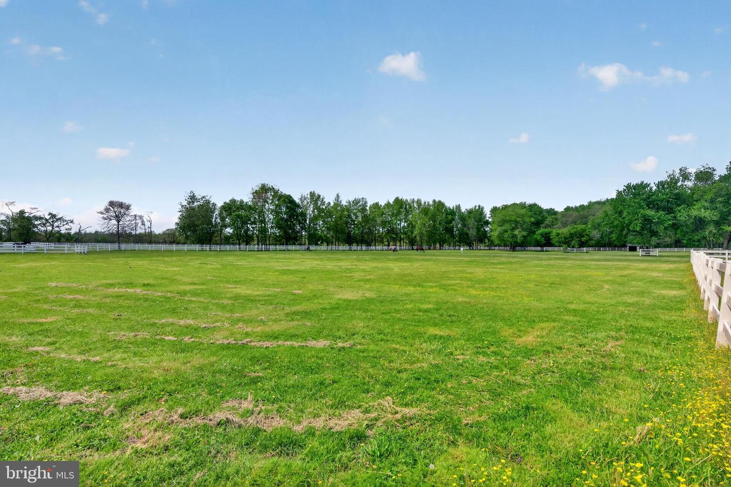 209 Buddtown Rd Property Photo 66
