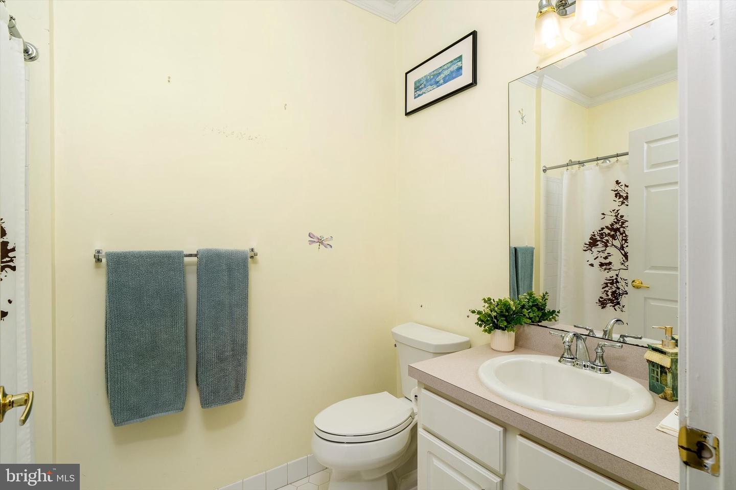 31 Barbary Ln Property Photo 16