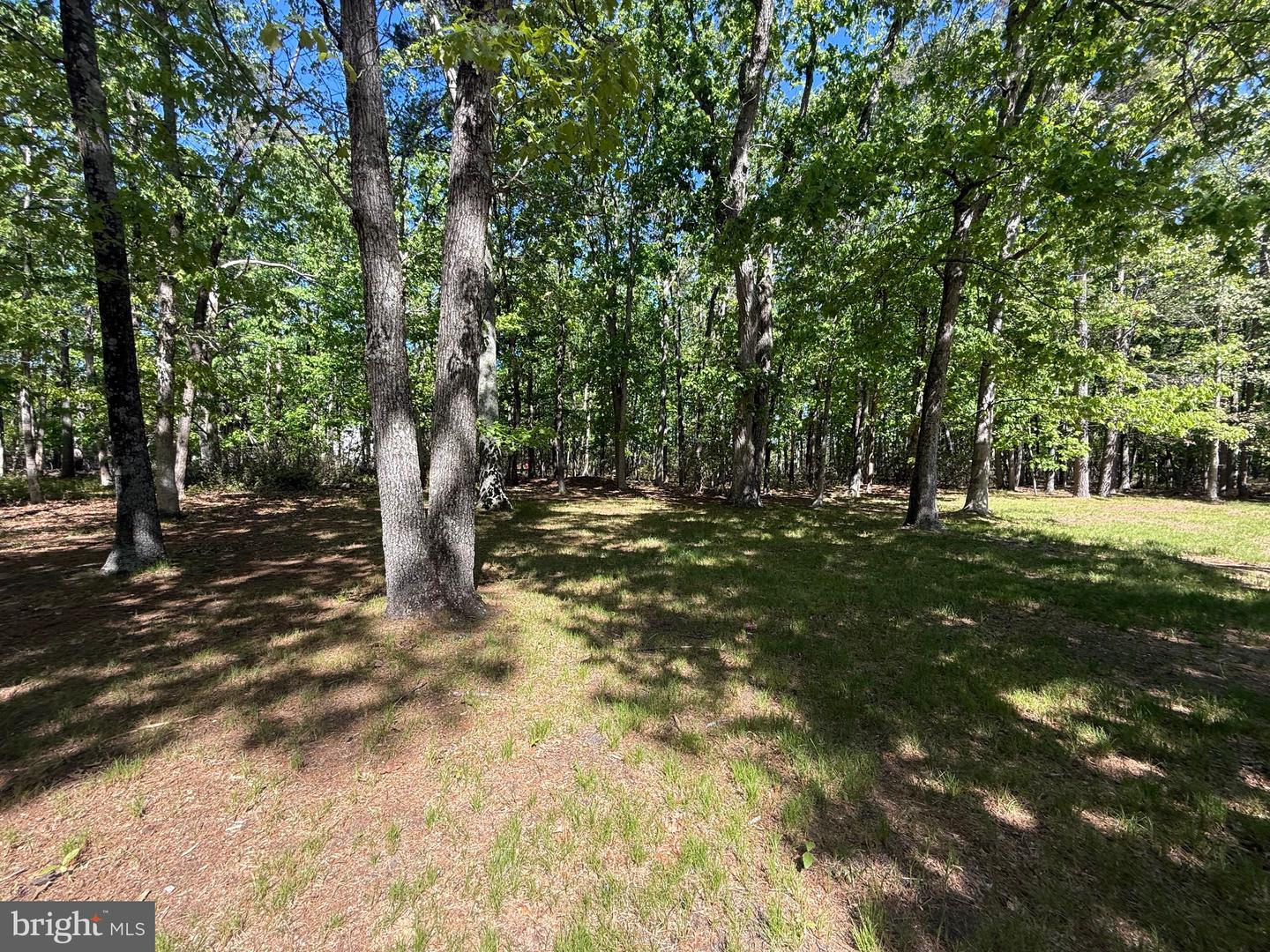 229 Oakshade Rd Property Photo 25