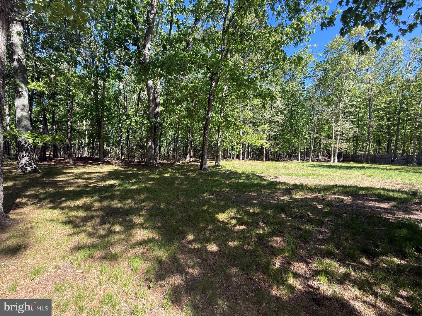 229 Oakshade Rd Property Photo 54