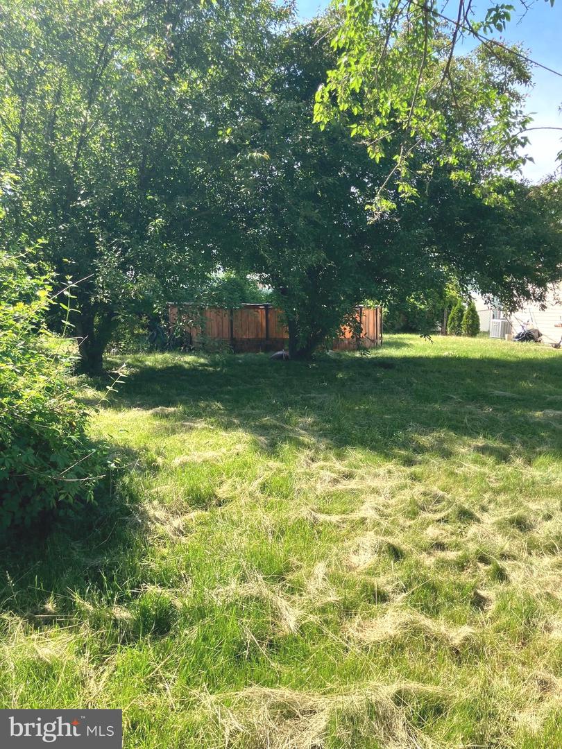 21 Trescott Ln Property Photo 5