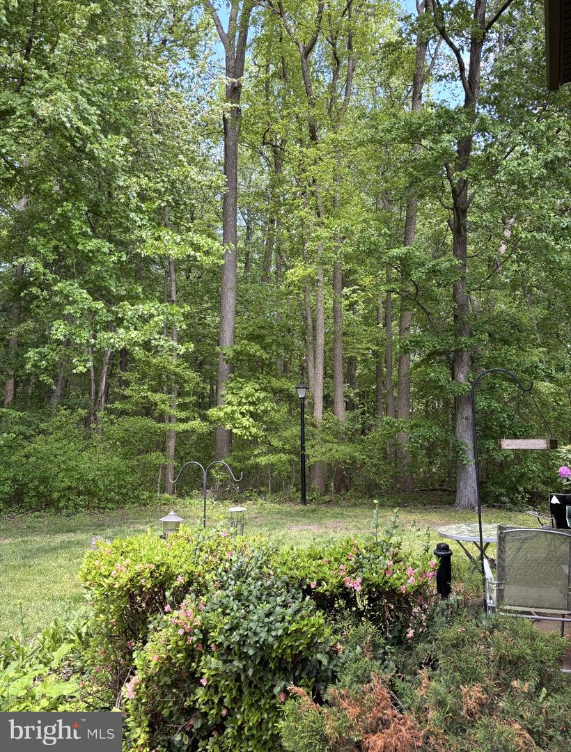 79-a W Bluebell Ln Property Photo 27