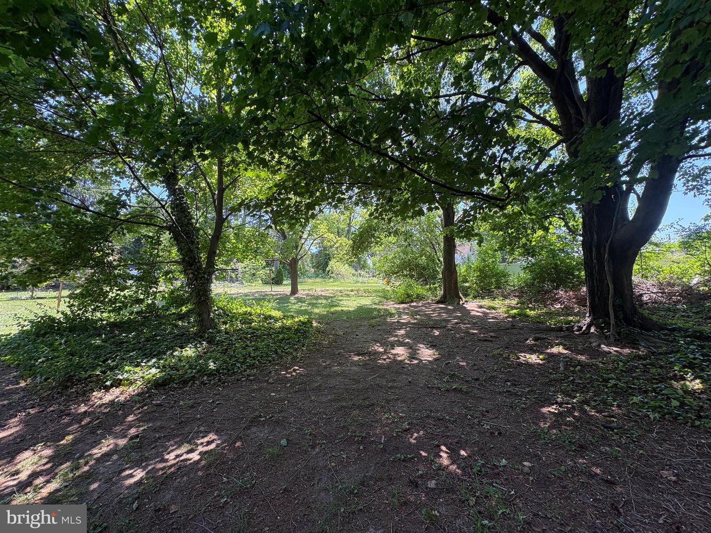 250 Orchard Ave Property Photo 10