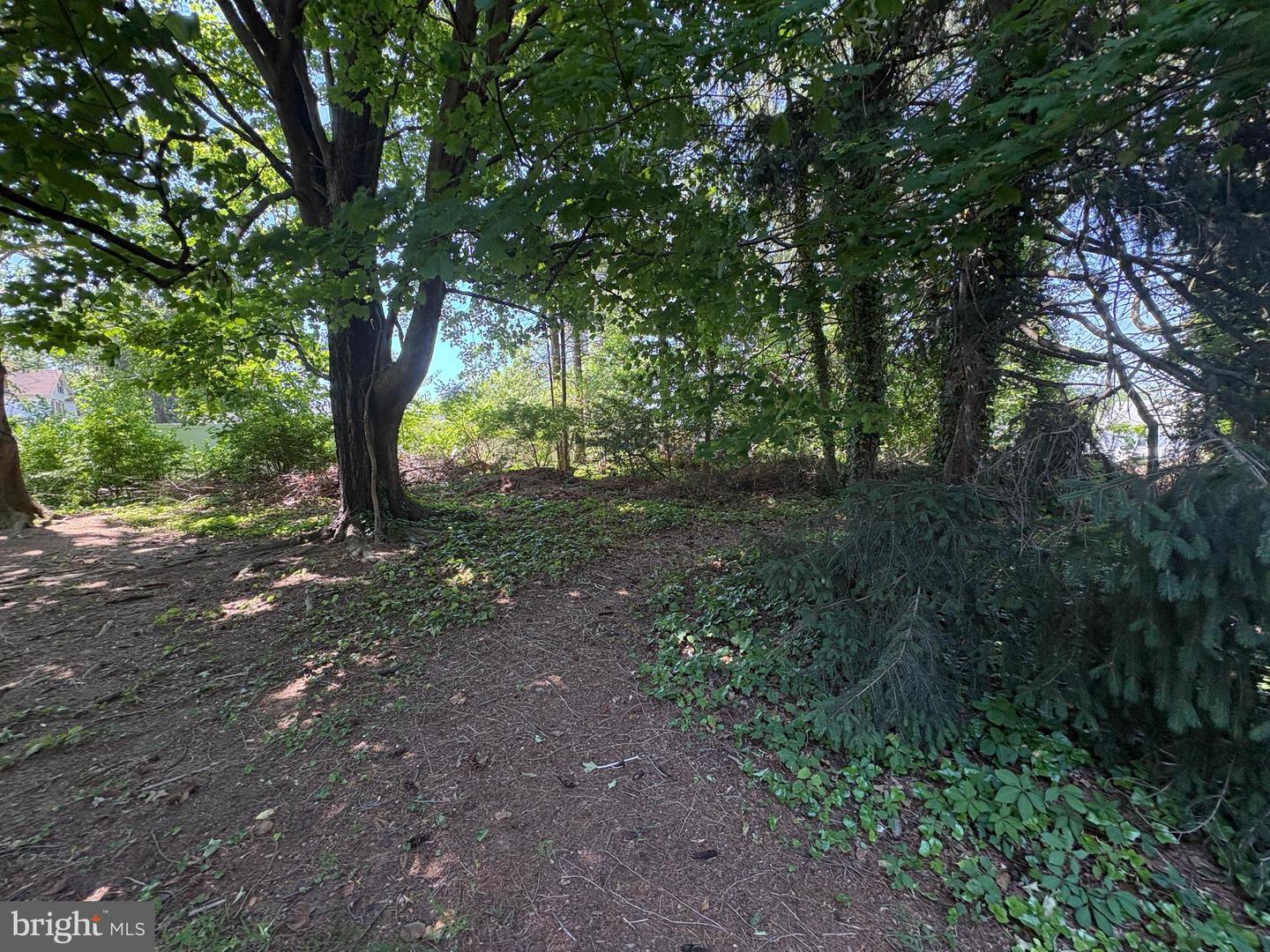 250 Orchard Ave Property Photo 11