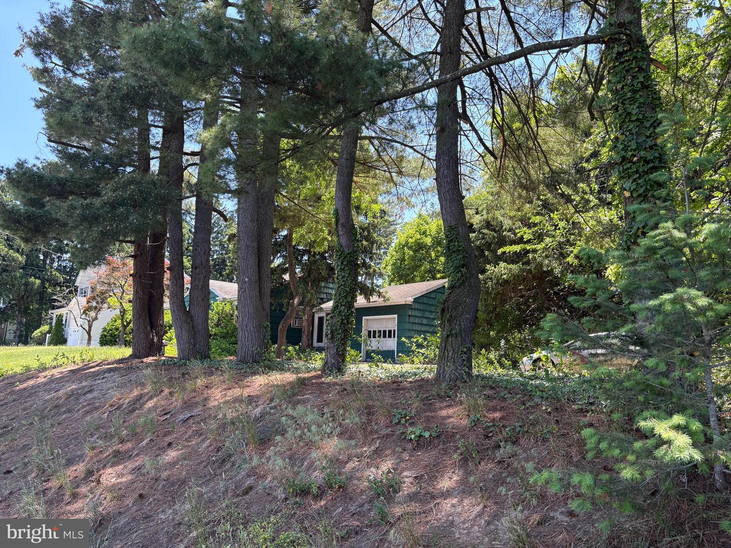 250 Orchard Ave Property Photo 18