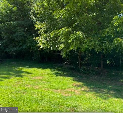 2 Orchard Ave Property Photo 4