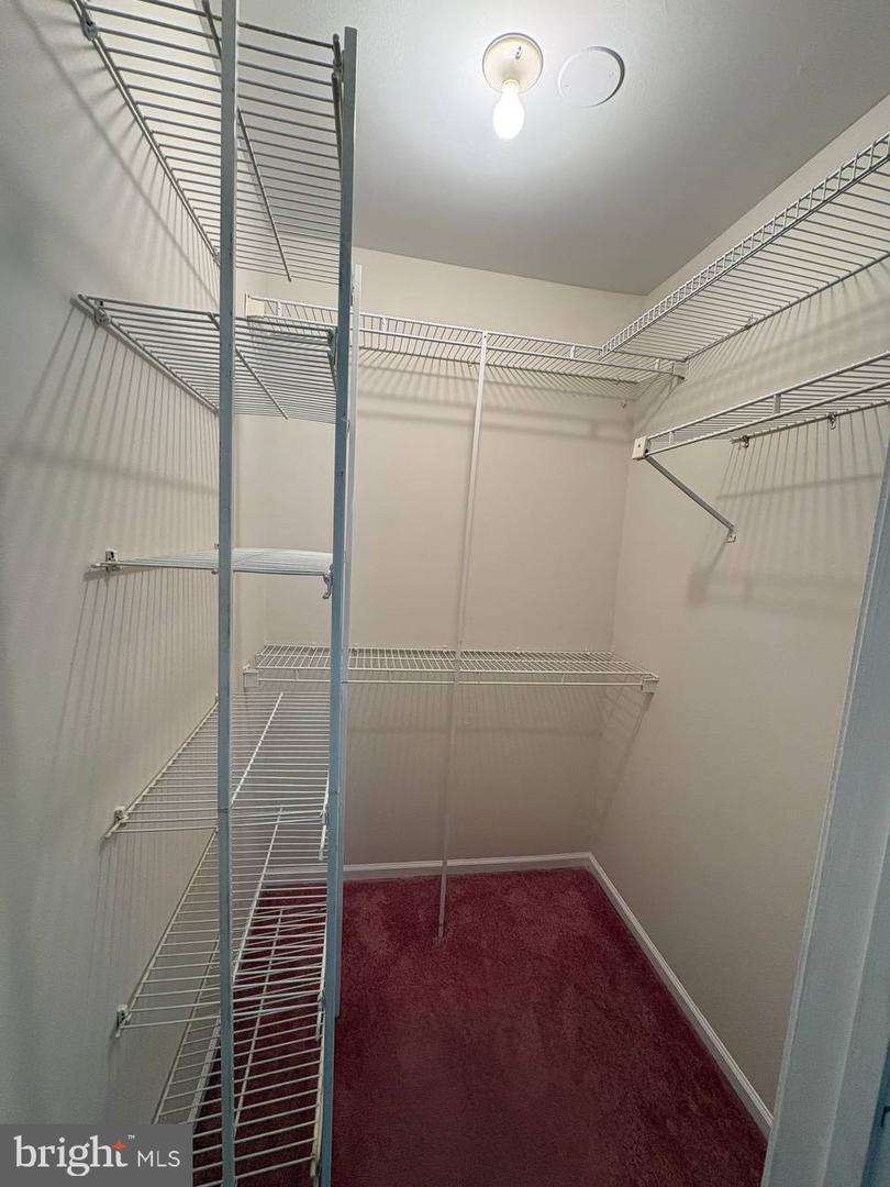 6 Chelmsford Ct Property Photo 35