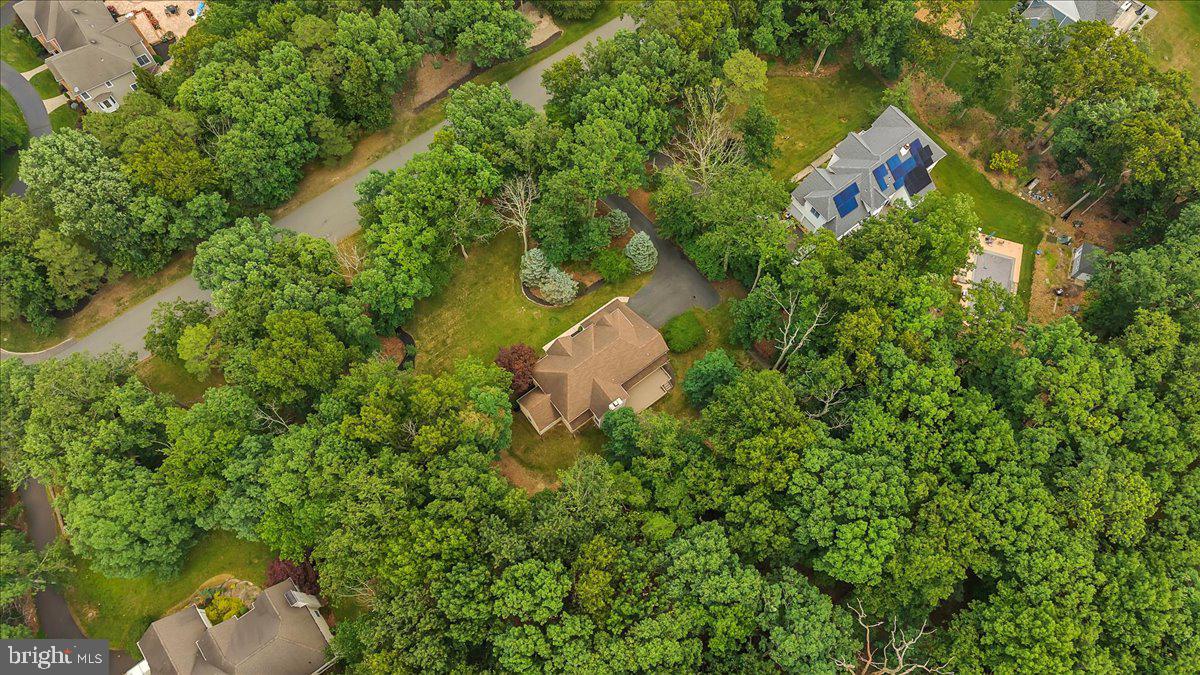 32 Constitution Dr Property Photo 43