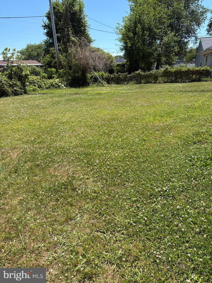 20 Miniature Ln Property Photo 29
