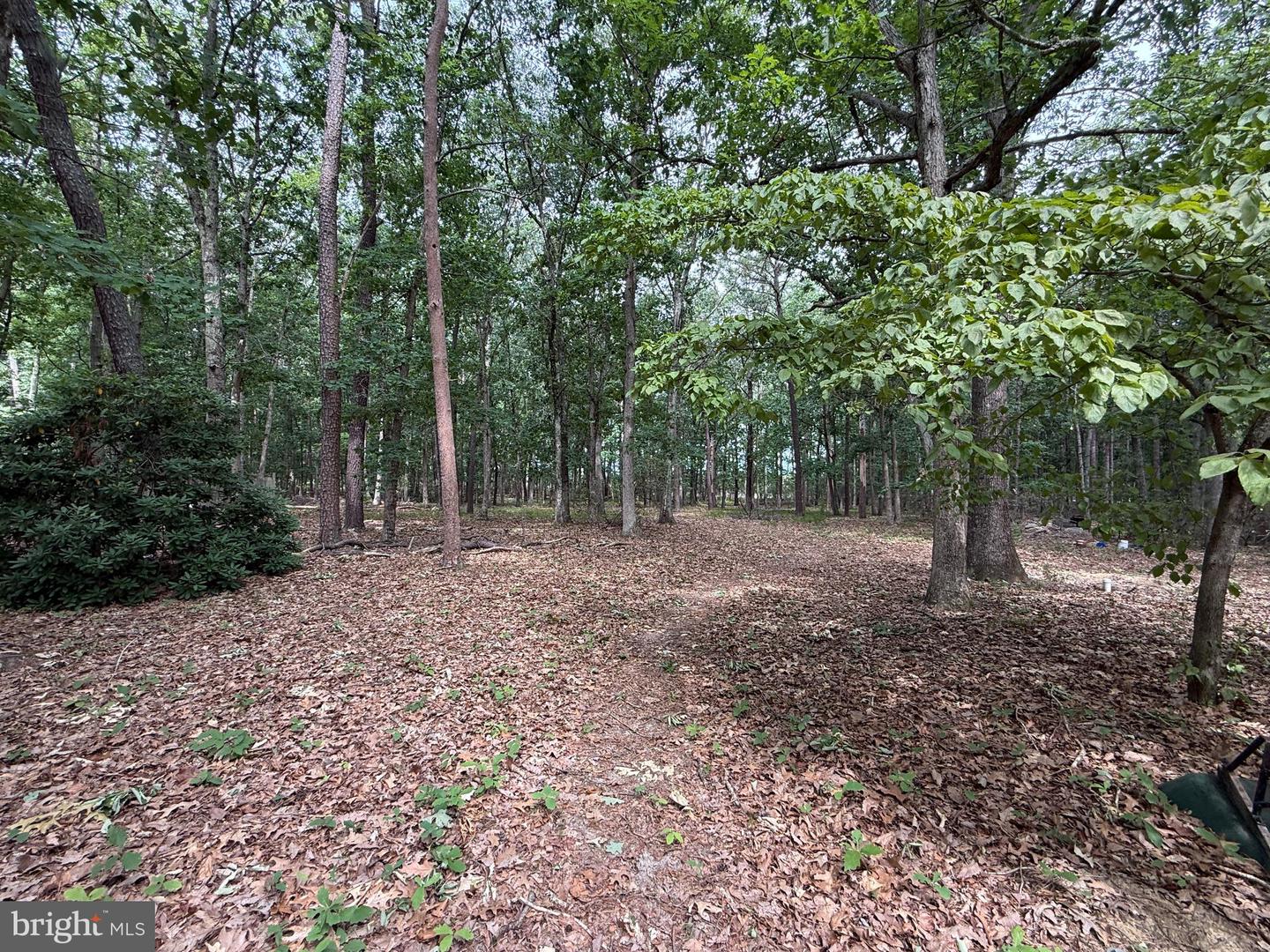 227 Oakshade Rd Property Photo 4